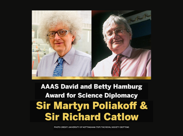 Prof Richard Catlow wins AAAS award